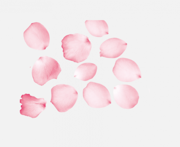 桃花花瓣