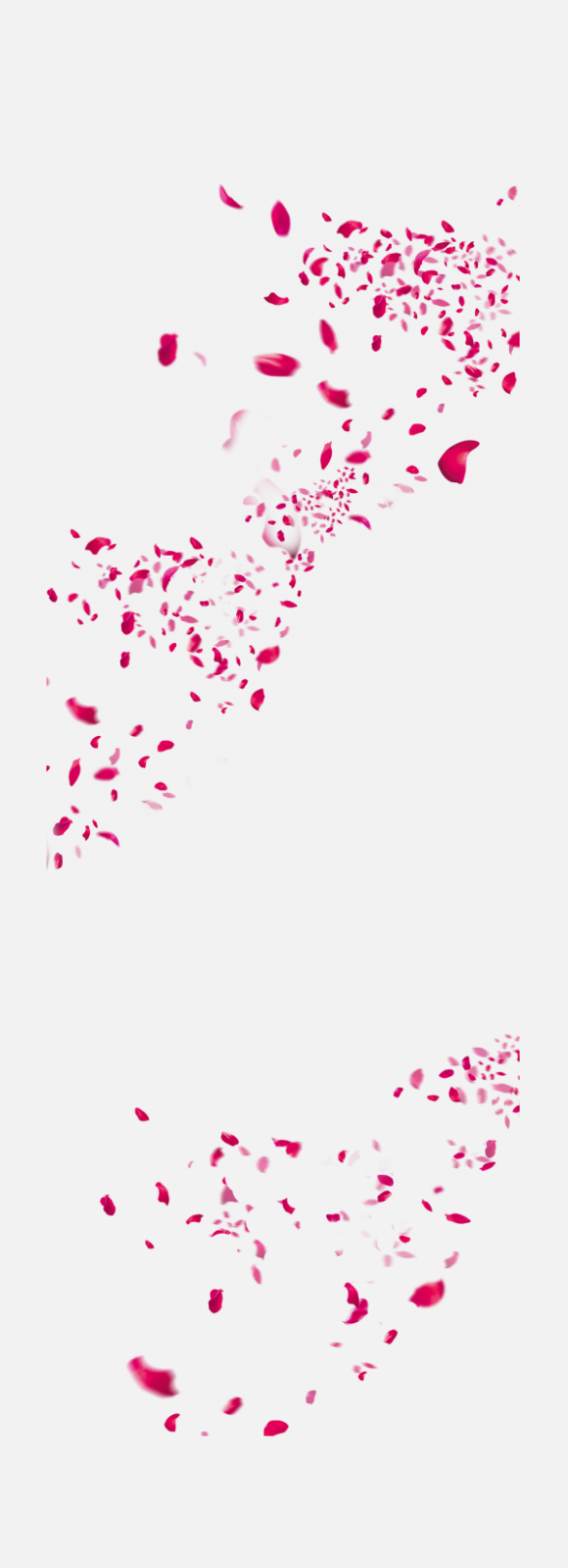 花瓣P(guān)NG素材