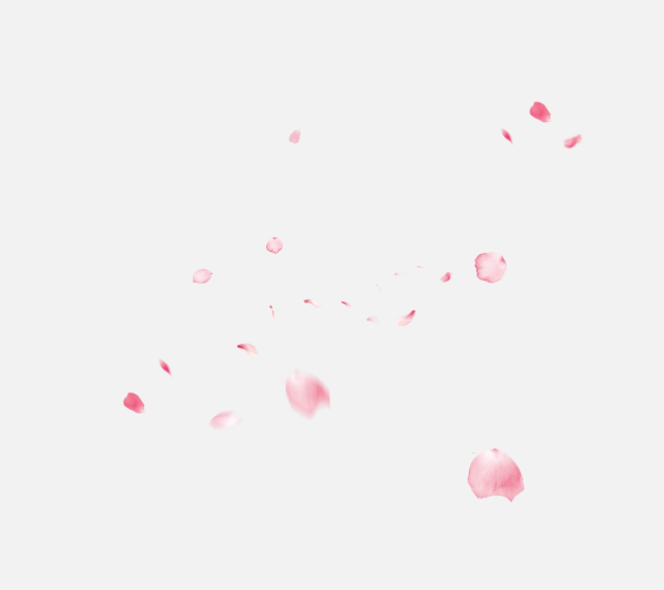 花瓣P(guān)NG素材