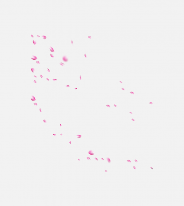 飛舞 花瓣 漂浮元素免摳png