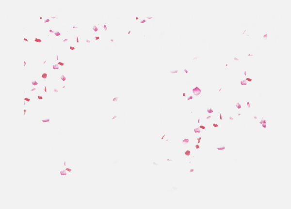 花瓣P(guān)NG素材