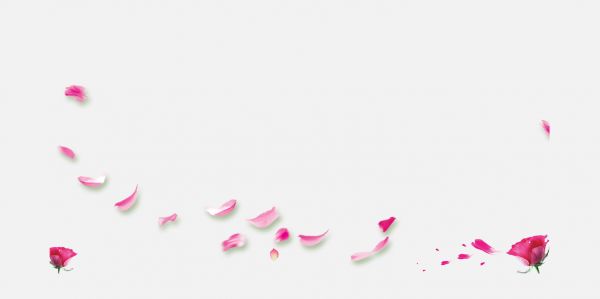 花瓣P(guān)NG素材