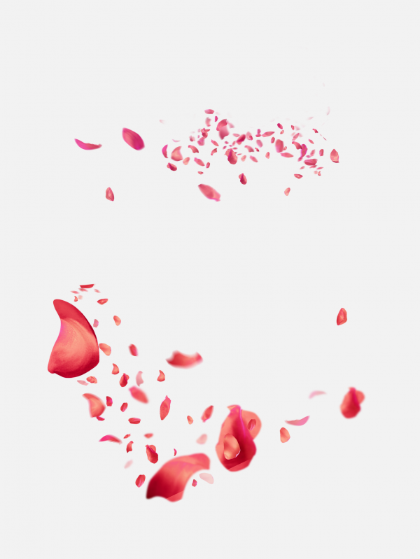 花瓣P(guān)NG素材