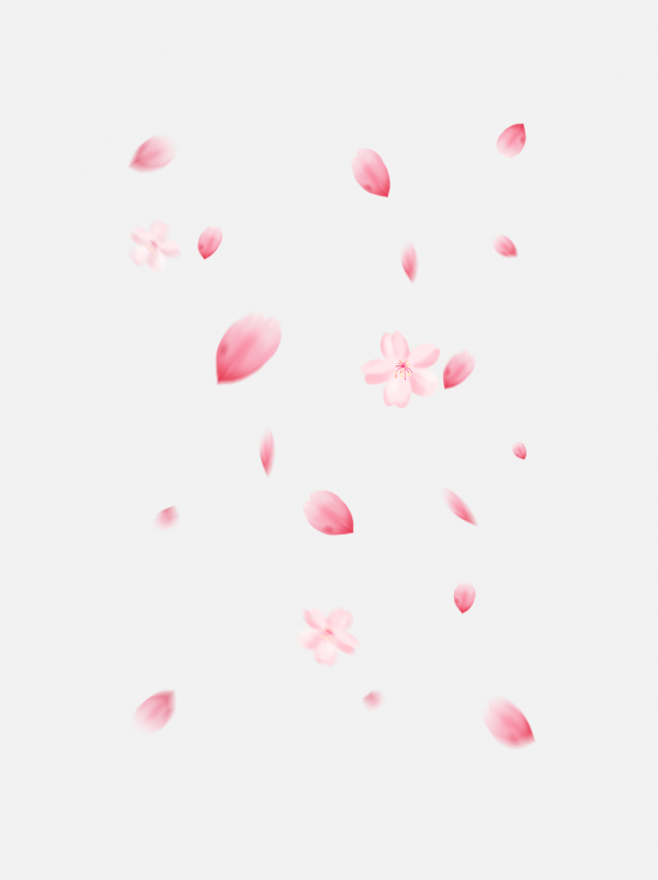 花瓣粉色素材png