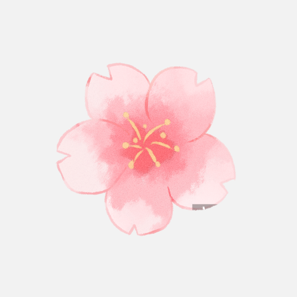 櫻花圖片素材