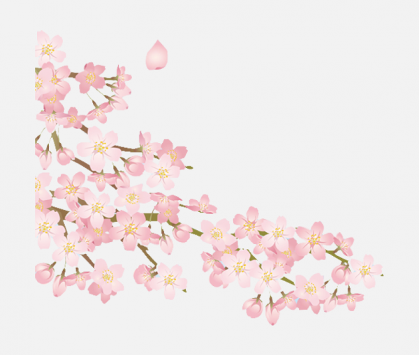 桃花櫻花PNG