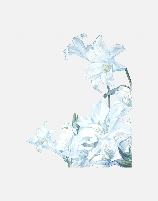花瓣P(guān)NG素材