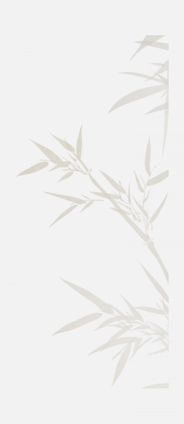 漂浮元素免摳png
