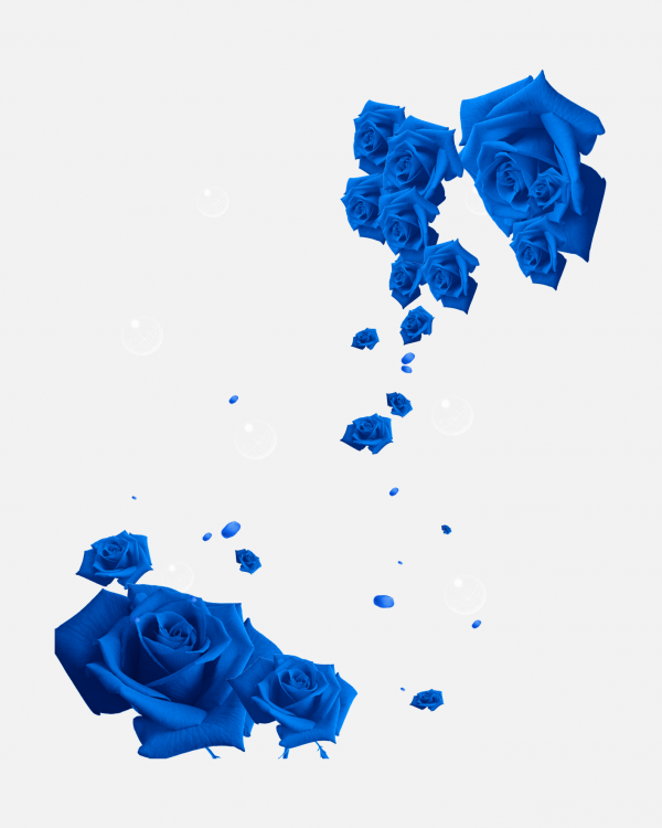 花瓣P(guān)NG素材