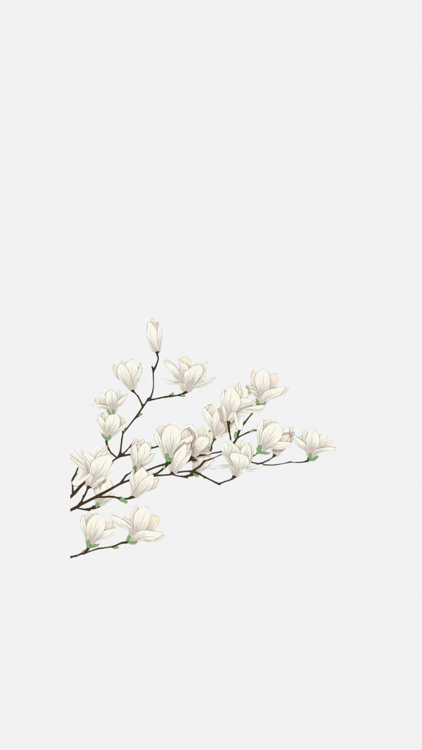 玉蘭花