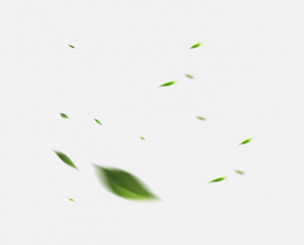 漂浮元素免摳png