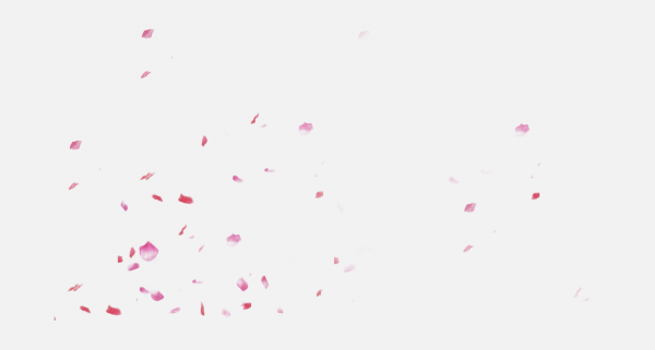 花瓣P(guān)NG素材