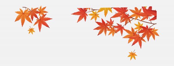感恩節(jié)素材