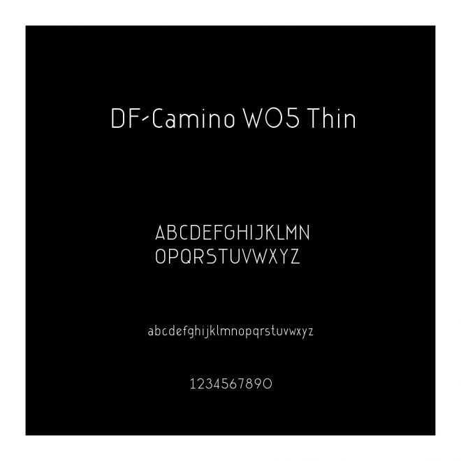 DF-Camino W05 Thin