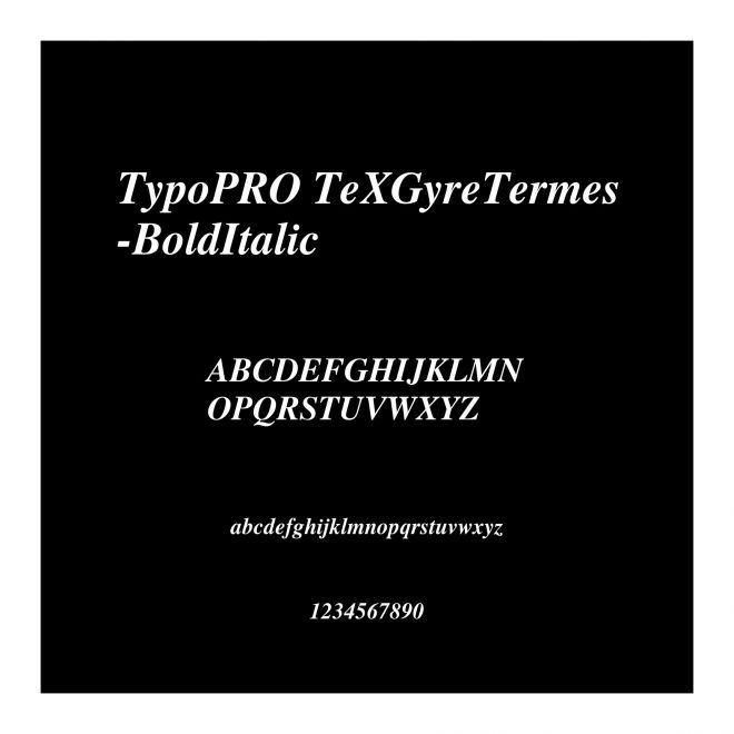 TypoPRO TeXGyreTermes-BoldItalic