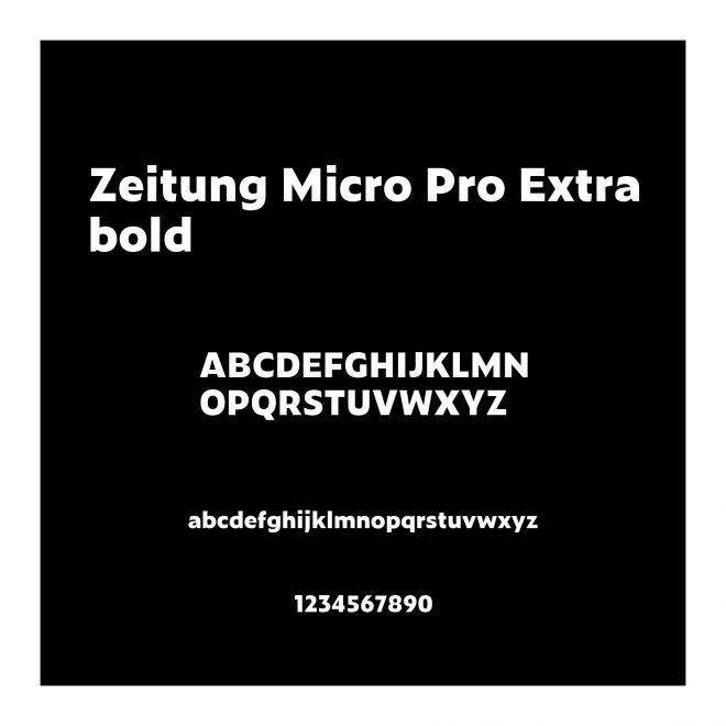 Zeitung Micro Pro Extrabold