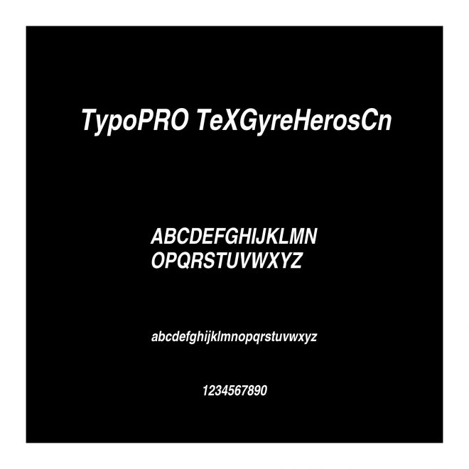 TypoPRO TeXGyreHerosCn