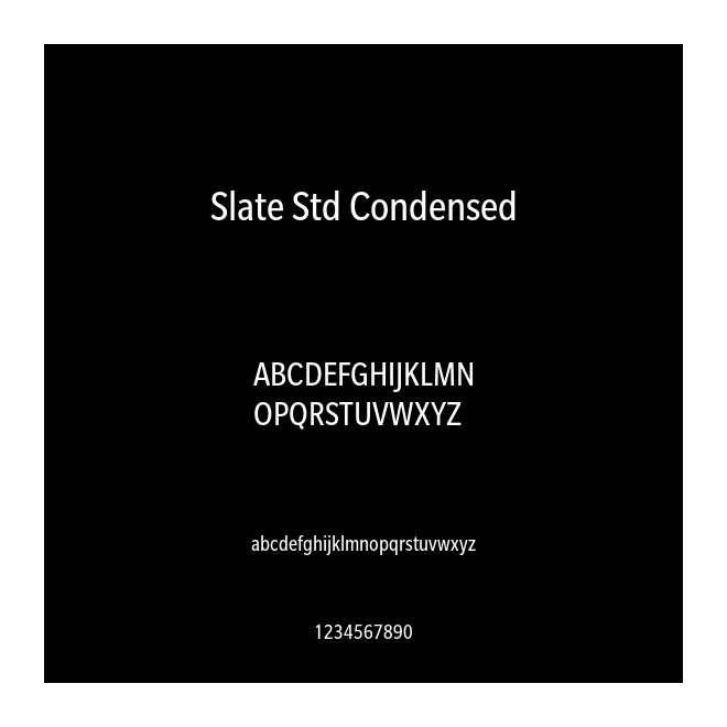 Slate Std Condensed