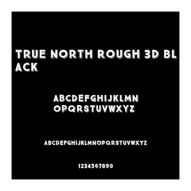 True North Rough 3D Black