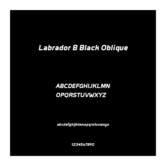 Labrador B Black Oblique