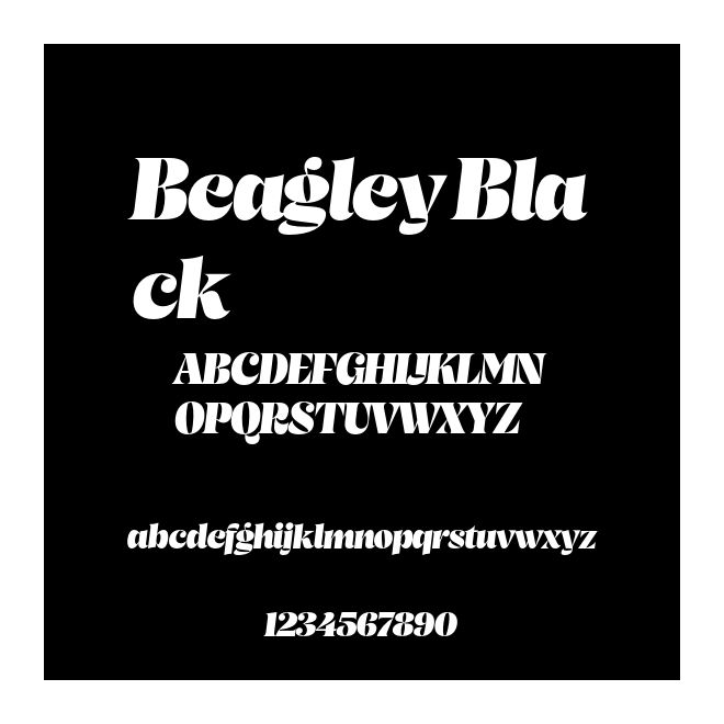 Beagley Black