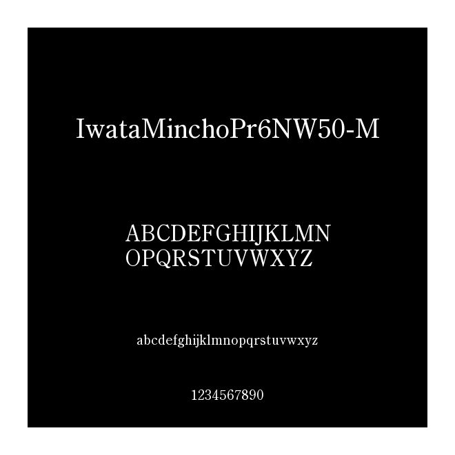 IwataMinchoPr6NW50-M