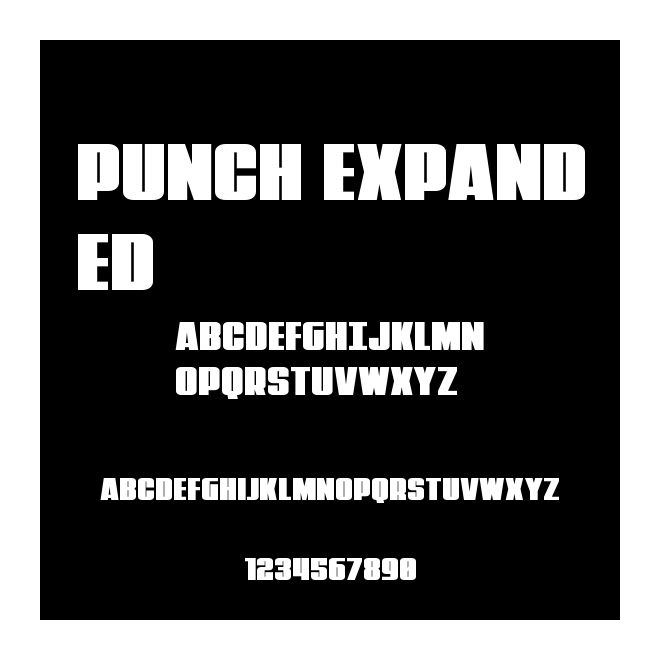 Punch Expanded