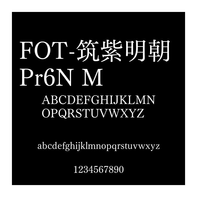 FOT-筑紫明朝 Pr6N M