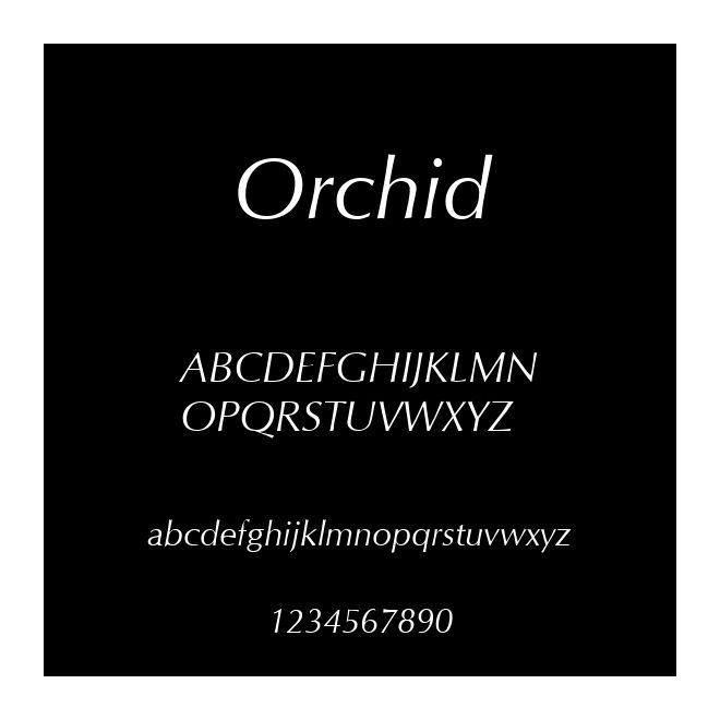 Orchid