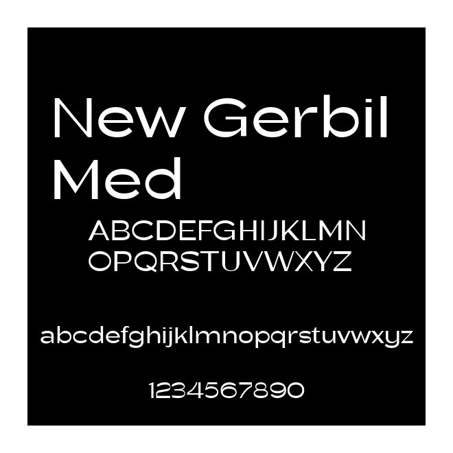 New Gerbil Med
