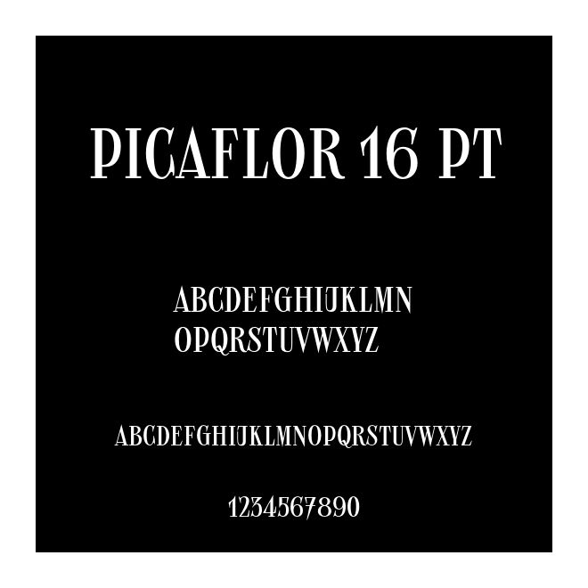 Picaflor 16 pt