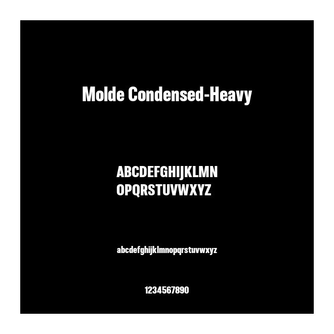 Molde Condensed-Heavy