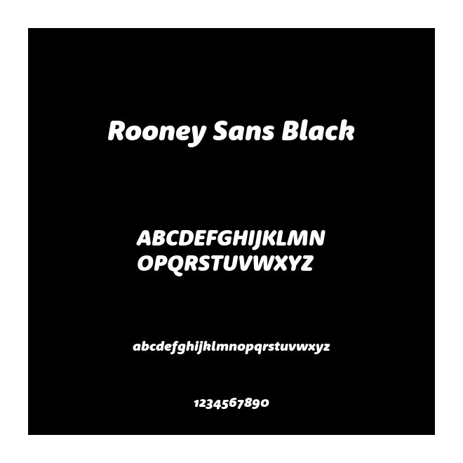 Rooney Sans Black