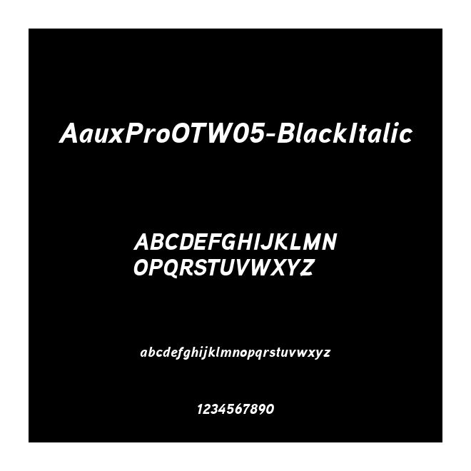 AauxProOTW05-BlackItalic