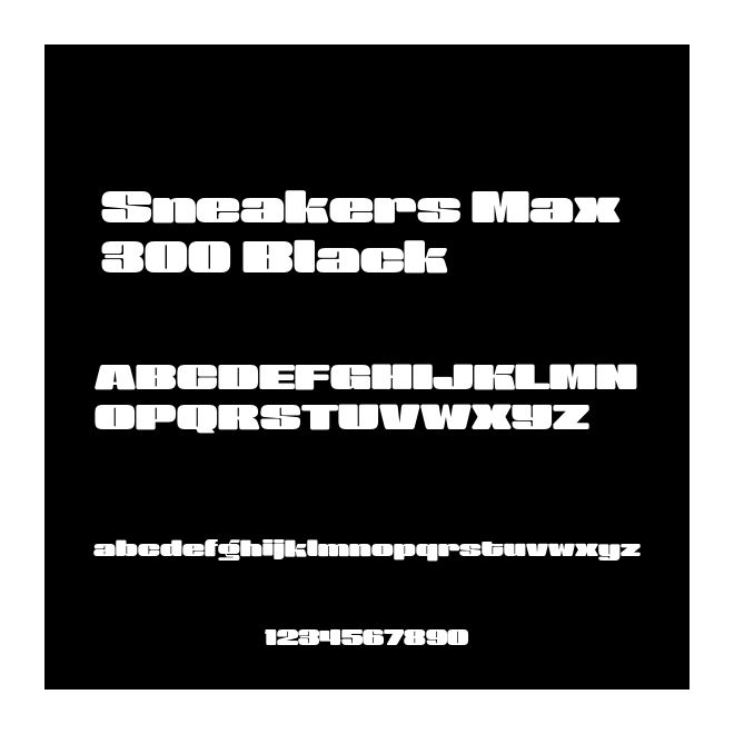 Sneakers Max 300 Black