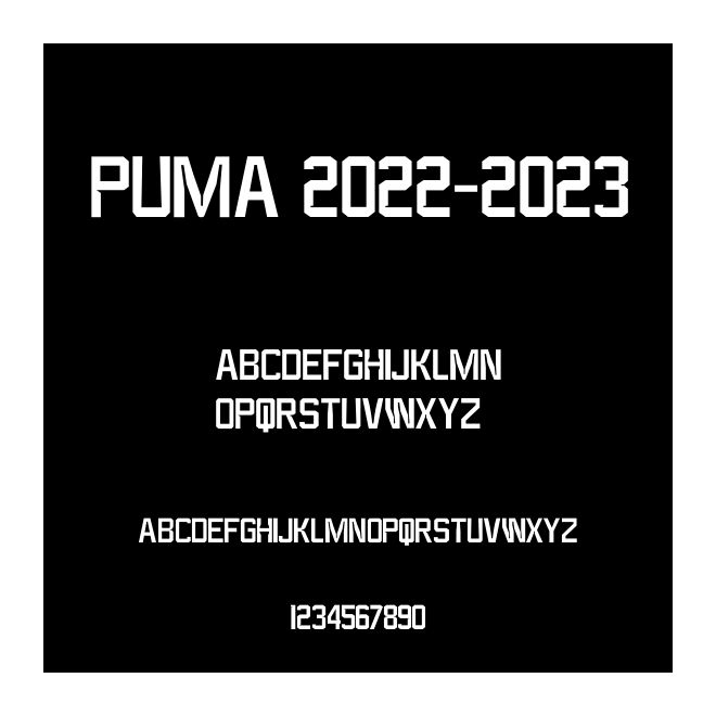 PUMA 2022-2023