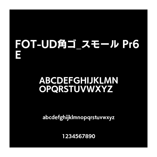 FOT-UD角ゴ_スモール Pr6 E