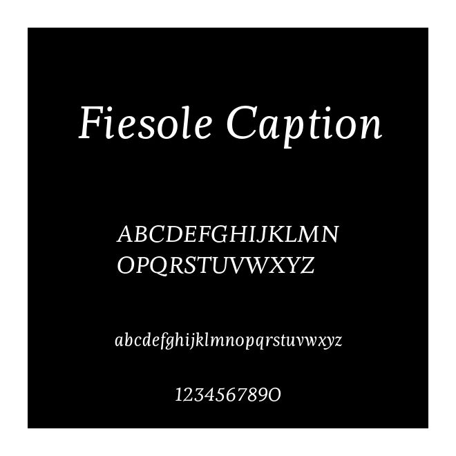 Fiesole Caption