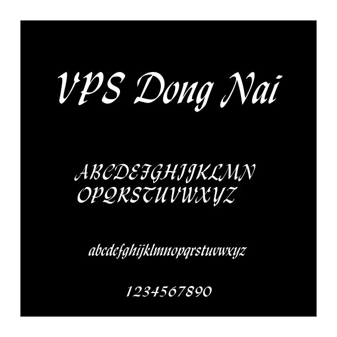 VPS Dong Nai