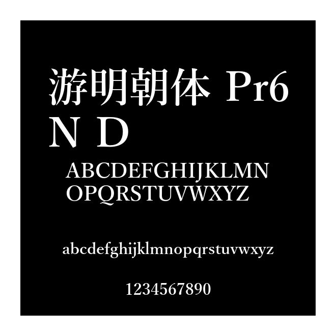 游明朝體 Pr6N D