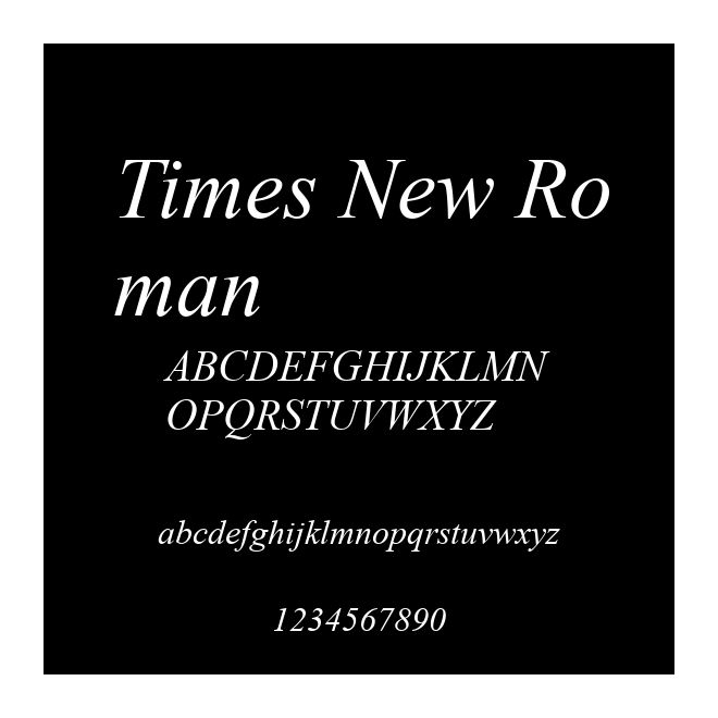 Times New Roman