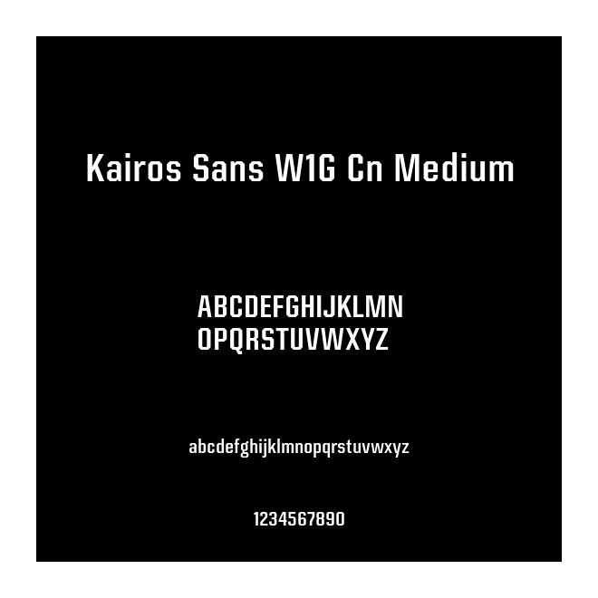 Kairos Sans W1G Cn Medium