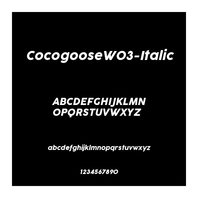 CocogooseW03-Italic