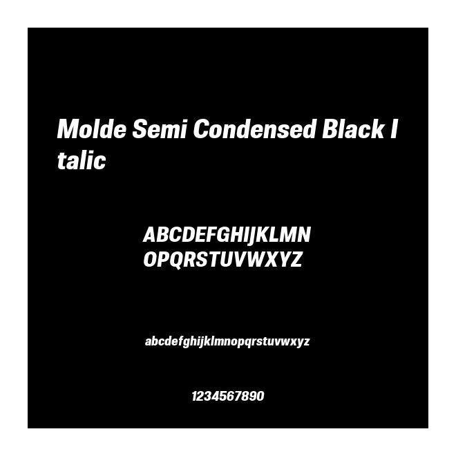 Molde Semi Condensed Black Italic