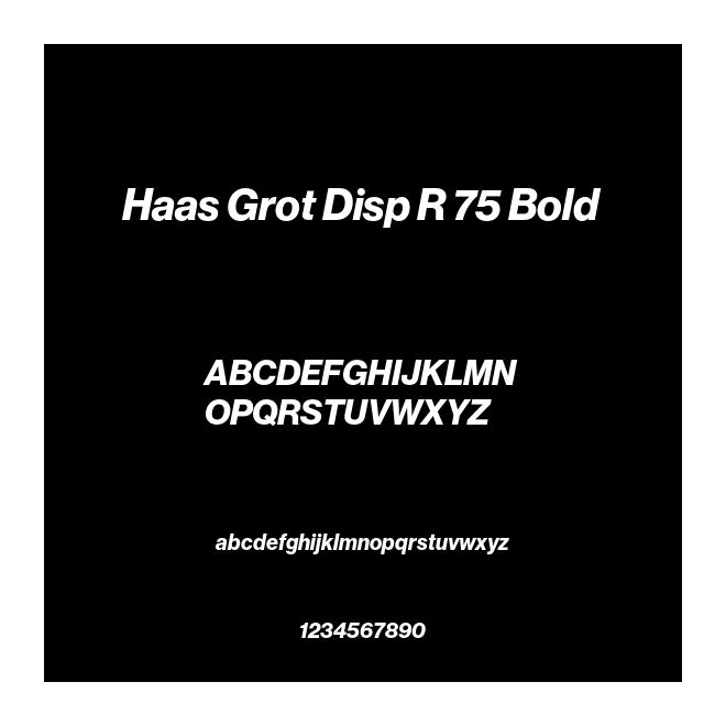 Haas Grot Disp R 75 Bold