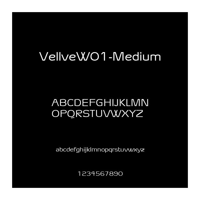 VellveW01-Medium