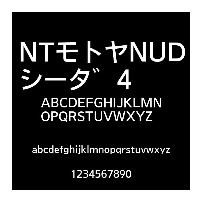 NTモトヤNUDシータ゛4