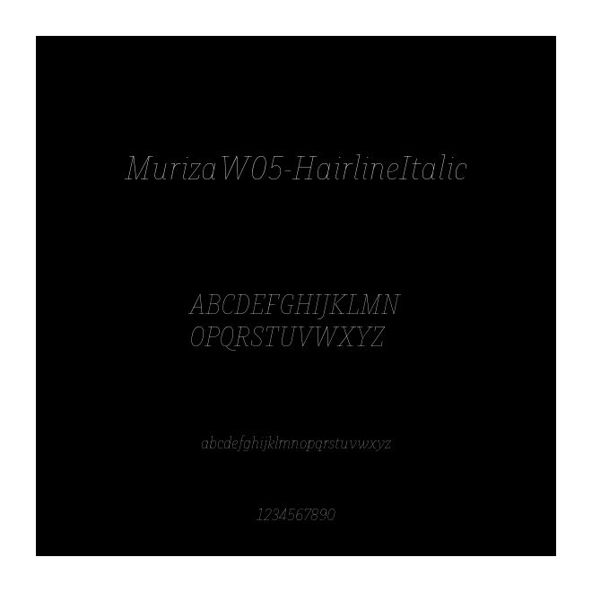 MurizaW05-HairlineItalic