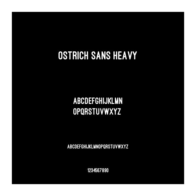 Ostrich Sans Heavy