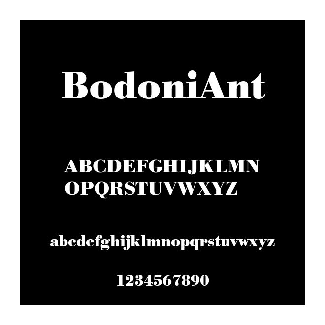 BodoniAnt